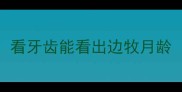 看牙齿能看出边牧月龄