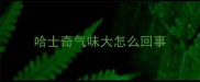哈士奇气味大怎么回事