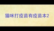 猫咪打疫苗有疫苗本