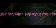2个月泰迪幼犬能不能吃狗粮科学喂养全攻略附喂养时间表