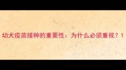 幼犬疫苗接种的重要性为什么必须重视