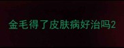 金毛得了皮肤病好治吗