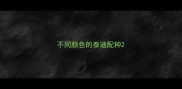 不同颜色的泰迪配种