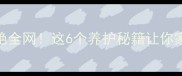 灰蓝泰迪混血惊艳全网这6个养护秘籍让你家爱宠秒变网红犬
