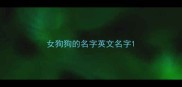 女狗狗的名字英文名字