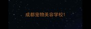 成都宠物美容学校