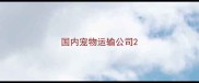 国内宠物运输公司