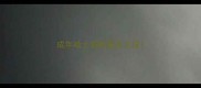 成年哈士奇能要多少钱