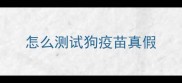 怎么测试狗疫苗真假