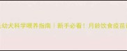 2个月金毛幼犬科学喂养指南新手必看月龄饮食疫苗训练全攻略