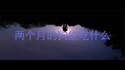 两个月的狗能吃什么
