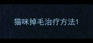 猫咪掉毛治疗方法