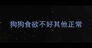 狗狗食欲不好其他正常