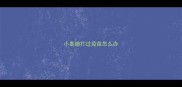 小泰迪打过疫苗怎么办