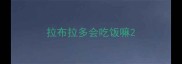 拉布拉多会吃饭嘛