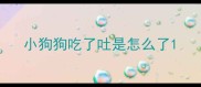 小狗狗吃了吐是怎么了