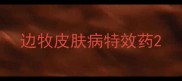 边牧皮肤病特效药