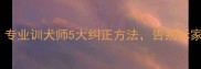 哈士奇脾气大怎么训专业训犬师5大纠正方法告别拆家乱吠附训练视频