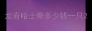 龙岩哈士奇多少钱一只