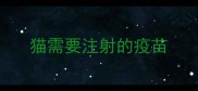 猫需要注射的疫苗