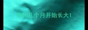 狗狗几个月开始长大