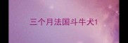 三个月法国斗牛犬