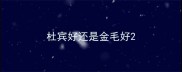 杜宾好还是金毛好