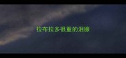 拉布拉多很重的泪腺