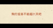 狗打疫苗不能超21天吧