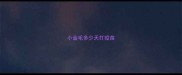 小金毛多少天打疫苗