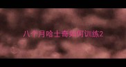 八个月哈士奇如何训练