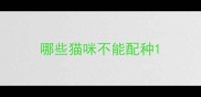 哪些猫咪不能配种
