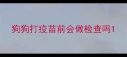 狗狗打疫苗前会做检查吗