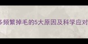 拉布拉多频繁掉毛的5大原因及科学应对指南1