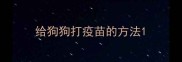 给狗狗打疫苗的方法