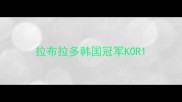 拉布拉多韩国冠军KOR