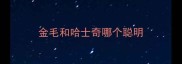 金毛和哈士奇哪个聪明