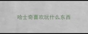 哈士奇喜欢玩什么东西