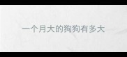 一个月大的狗狗有多大
