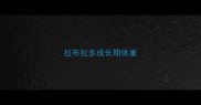 拉布拉多成长期体重