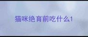 猫咪绝育前吃什么