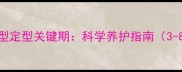公泰迪犬体型定型关键期科学养护指南3-8月龄必读