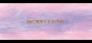 螨虫狗狗会不会传染