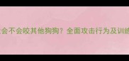 金毛犬会不会咬其他狗狗全面攻击行为及训练指南
