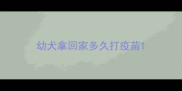 幼犬拿回家多久打疫苗
