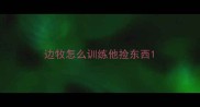 边牧怎么训练他捡东西