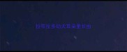 拉布拉多幼犬耳朵里长虫