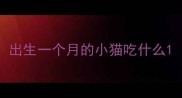 出生一个月的小猫吃什么