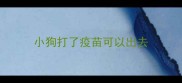 小狗打了疫苗可以出去