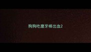 狗狗吃磨牙棒出血